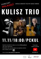 Koncert „Wolność” tylko w Internecie
